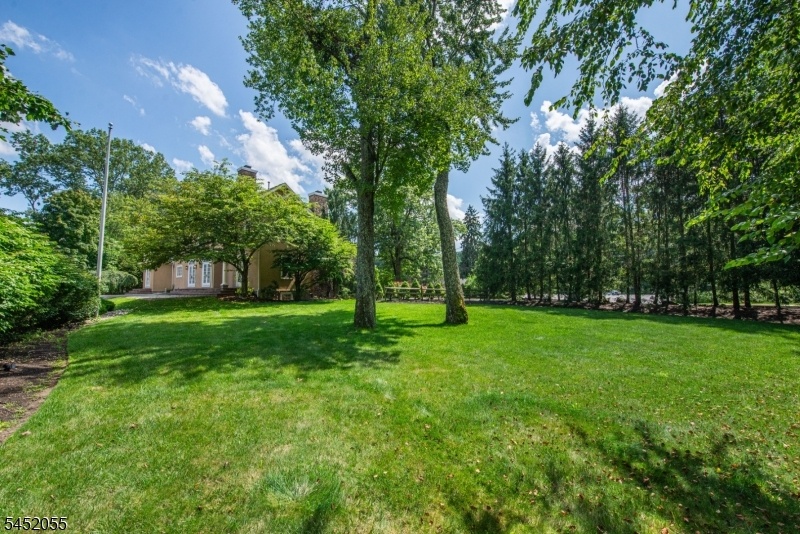 Spacious Side yard