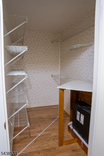 Pantry in Basement