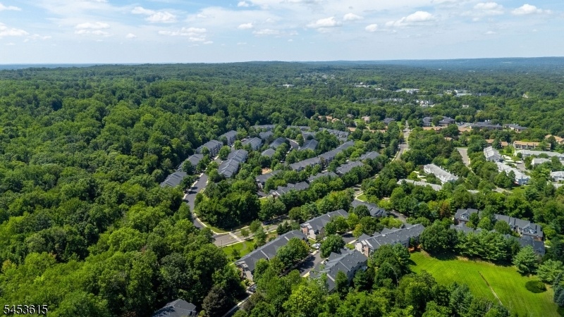 Drone View