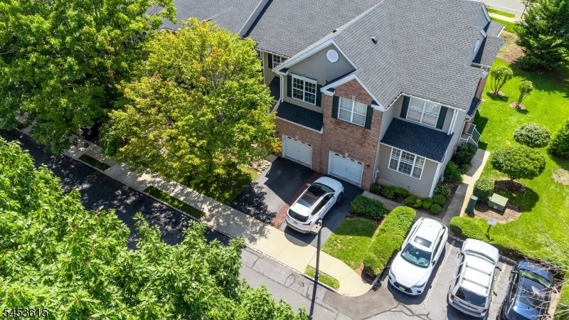 Drone View