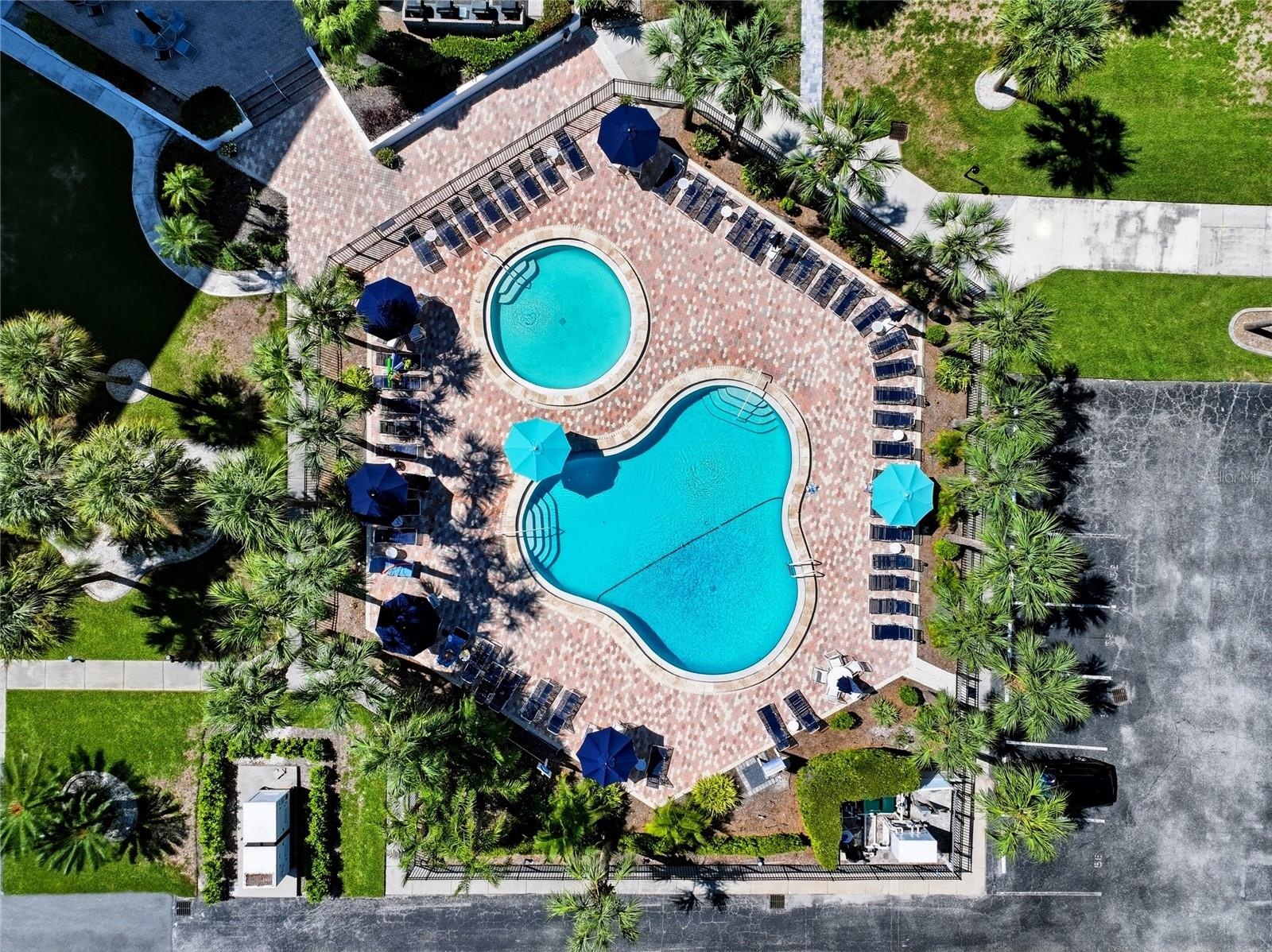 Pool & Spa