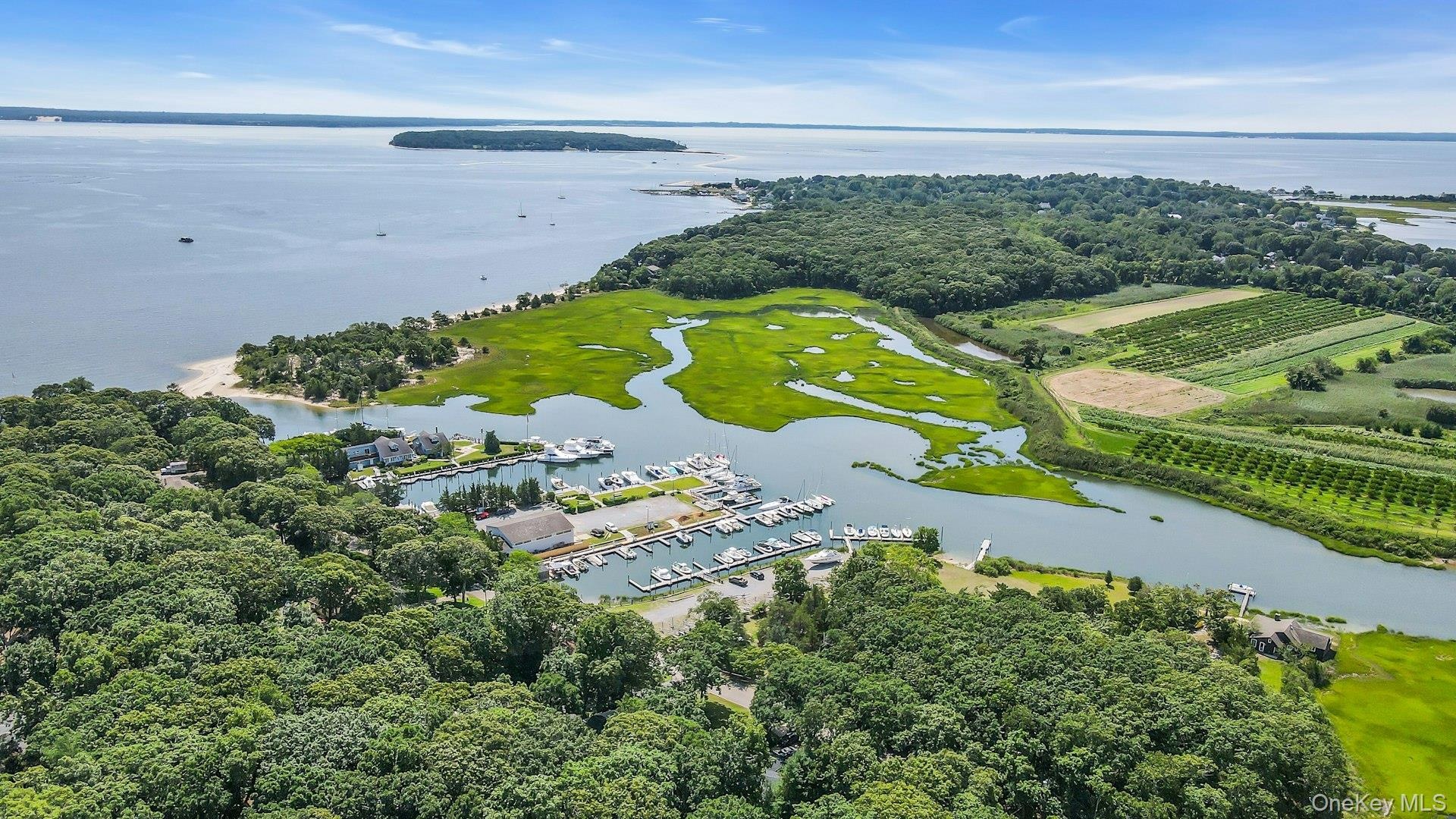 Near multiple marinas with dock slips