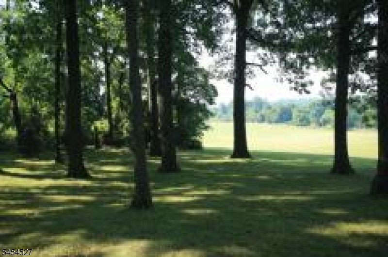 Spring Tree Farm