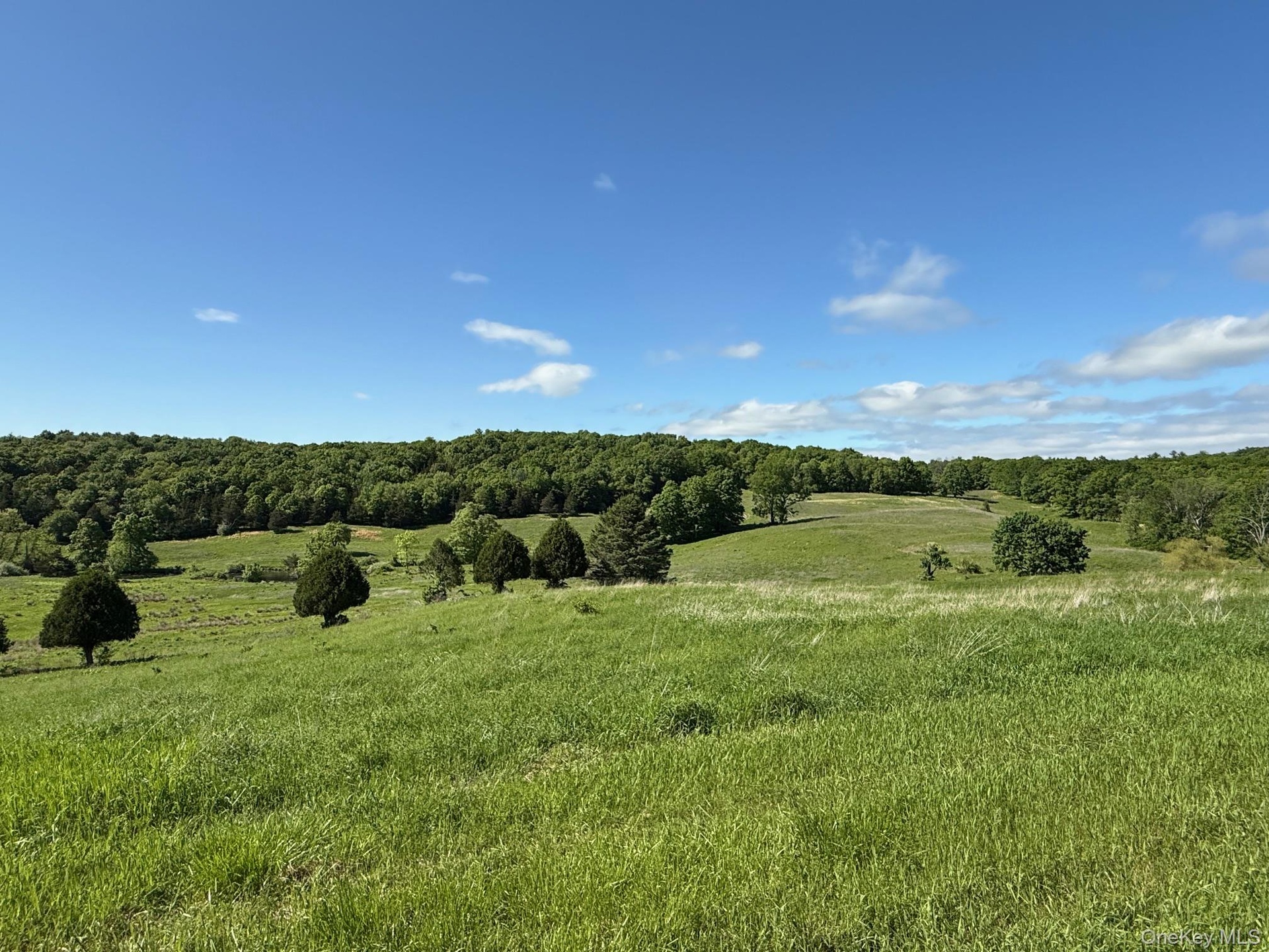View of undeveloped land with rural landscape