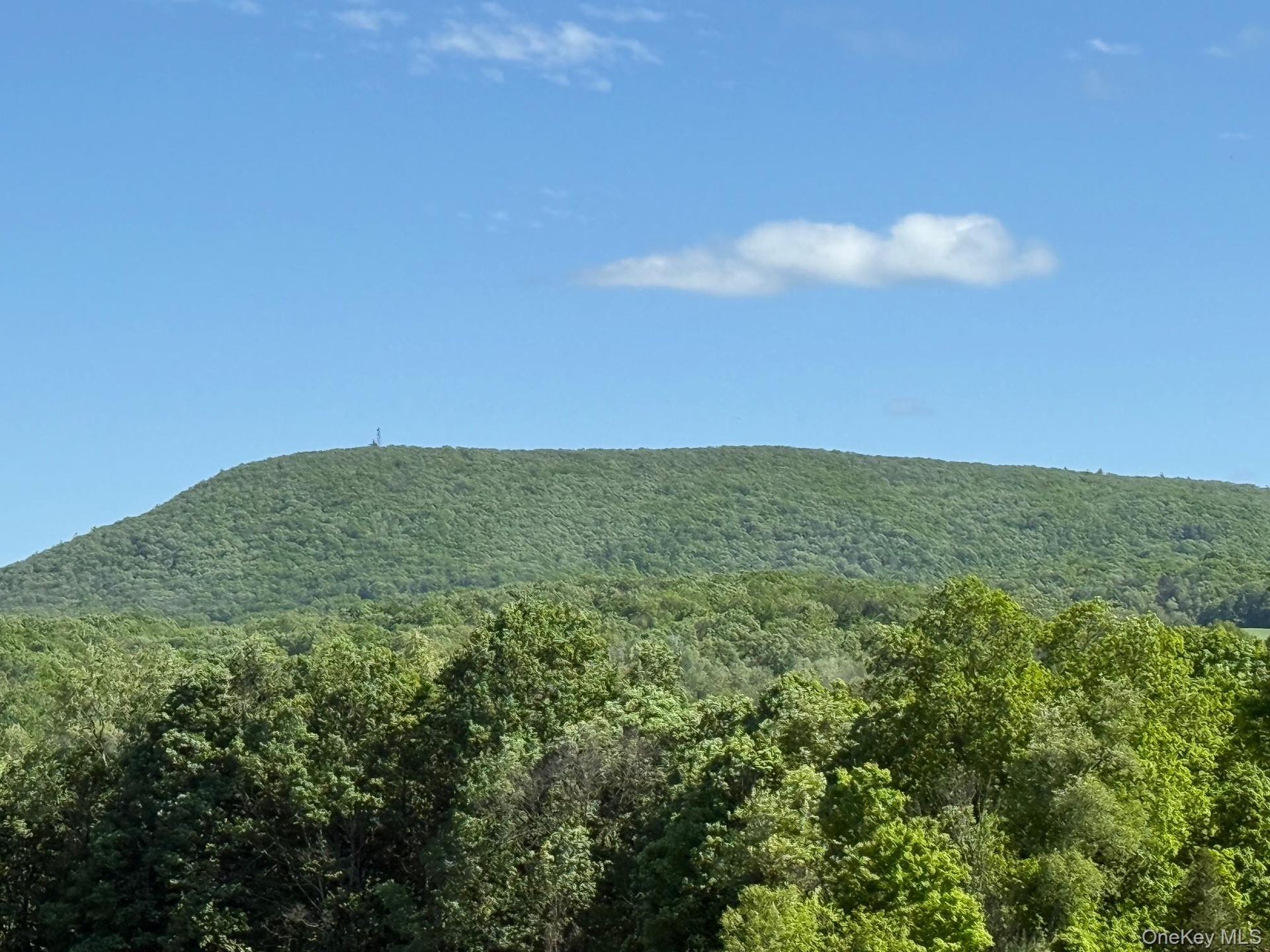 View of mountain backdrop featuring a heavily wooded area