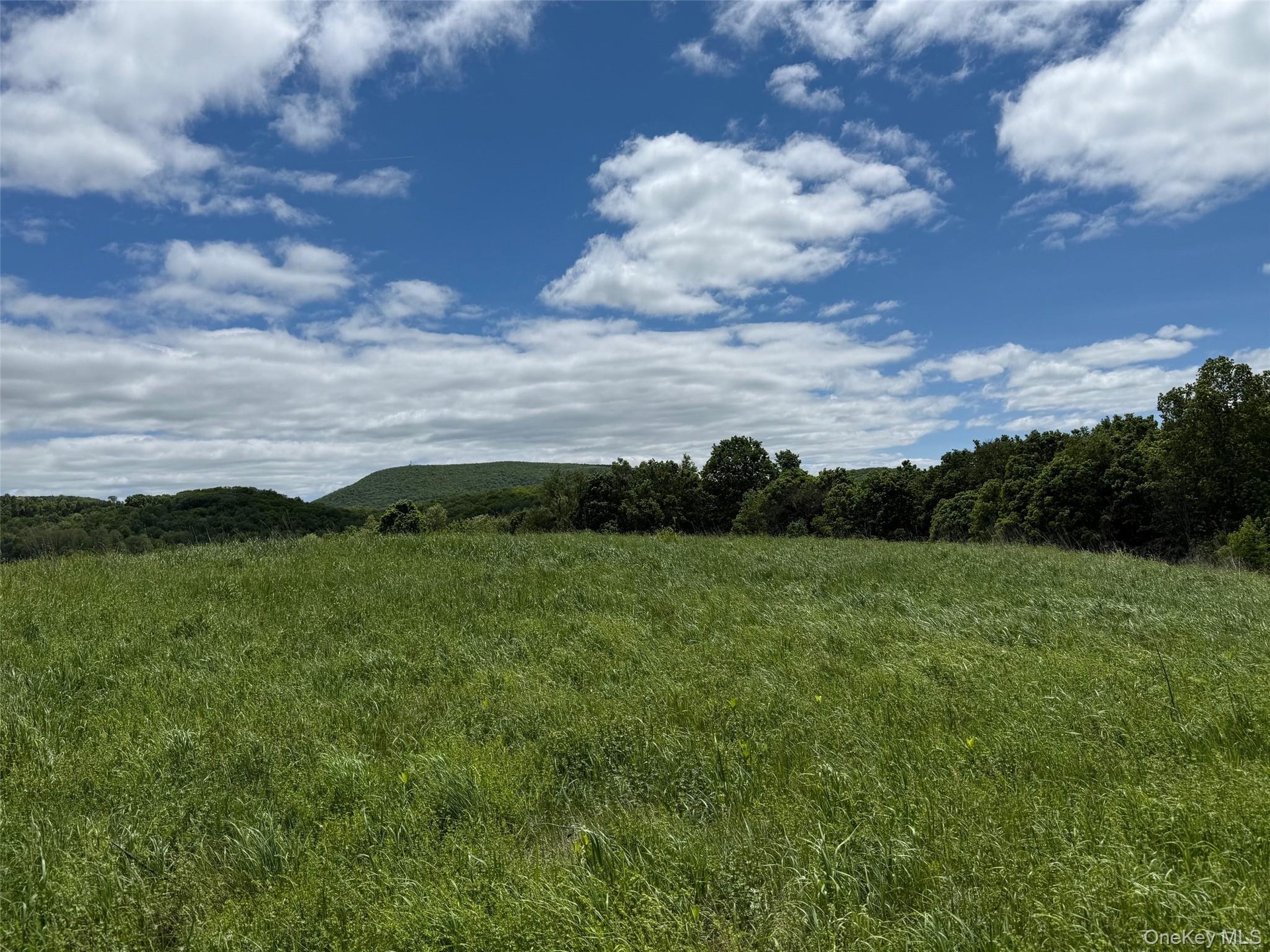 View of nature