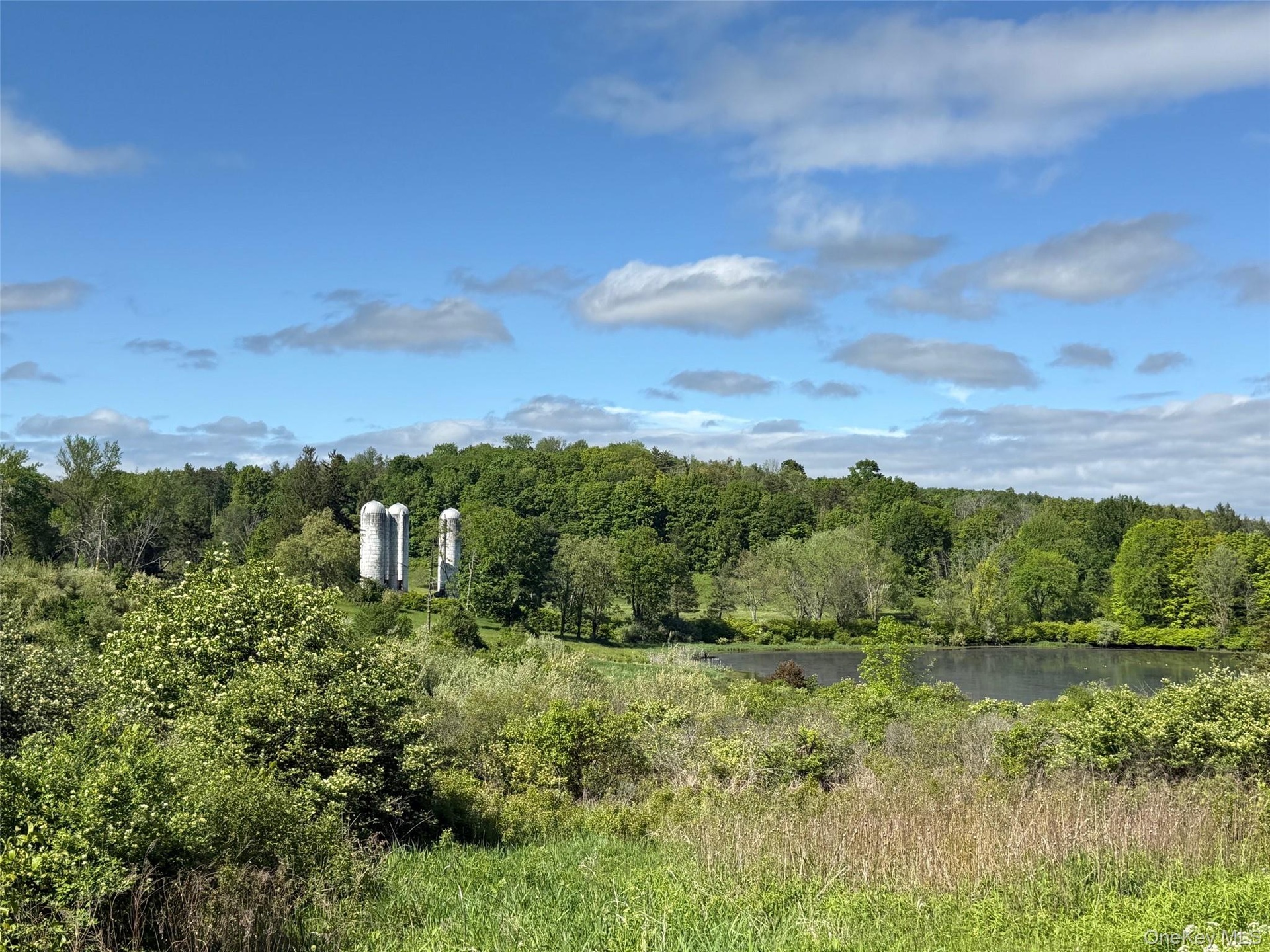 View of tree filled area featuring a water view