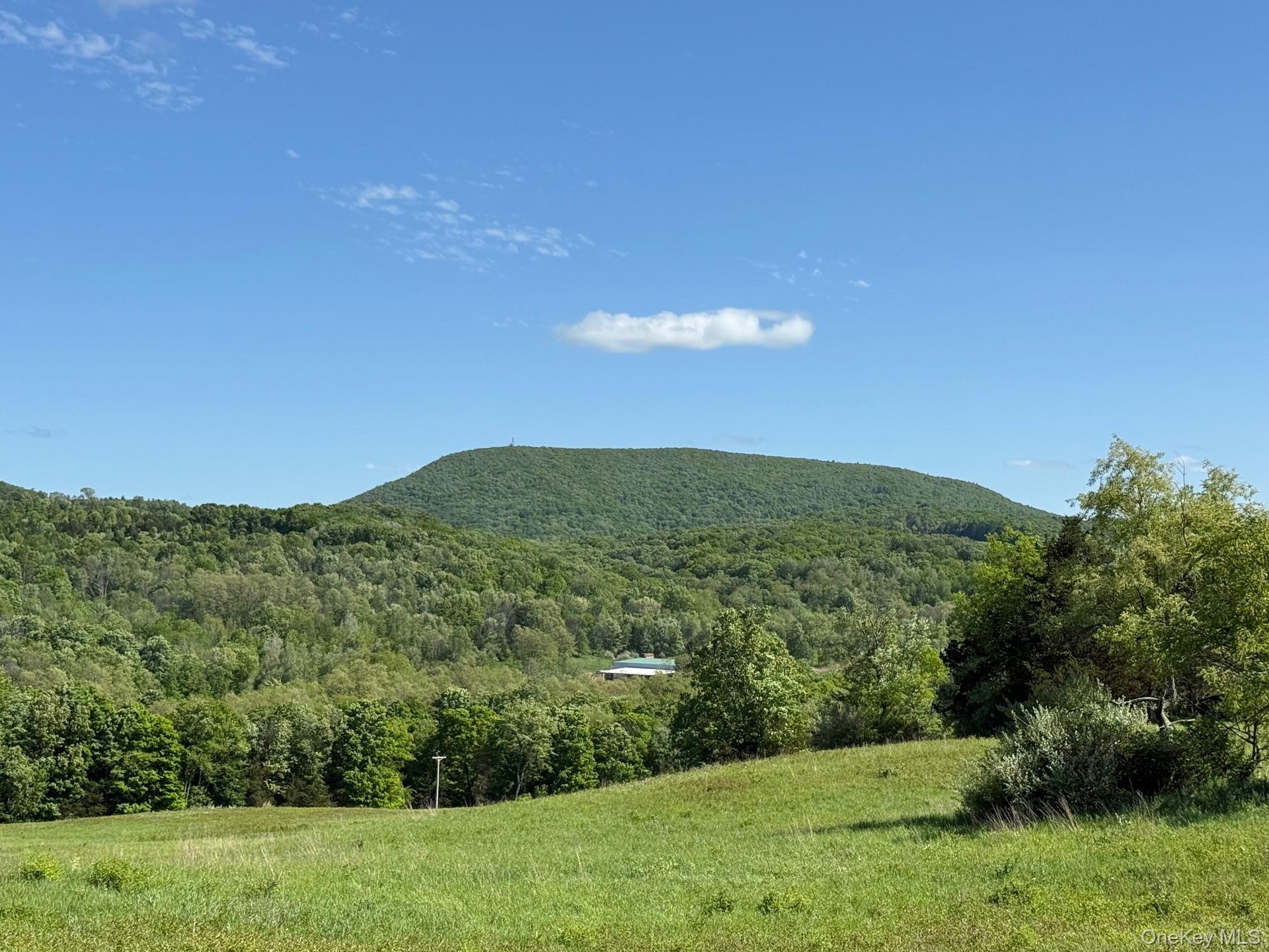 View of mountain backdrop featuring a heavily wooded area