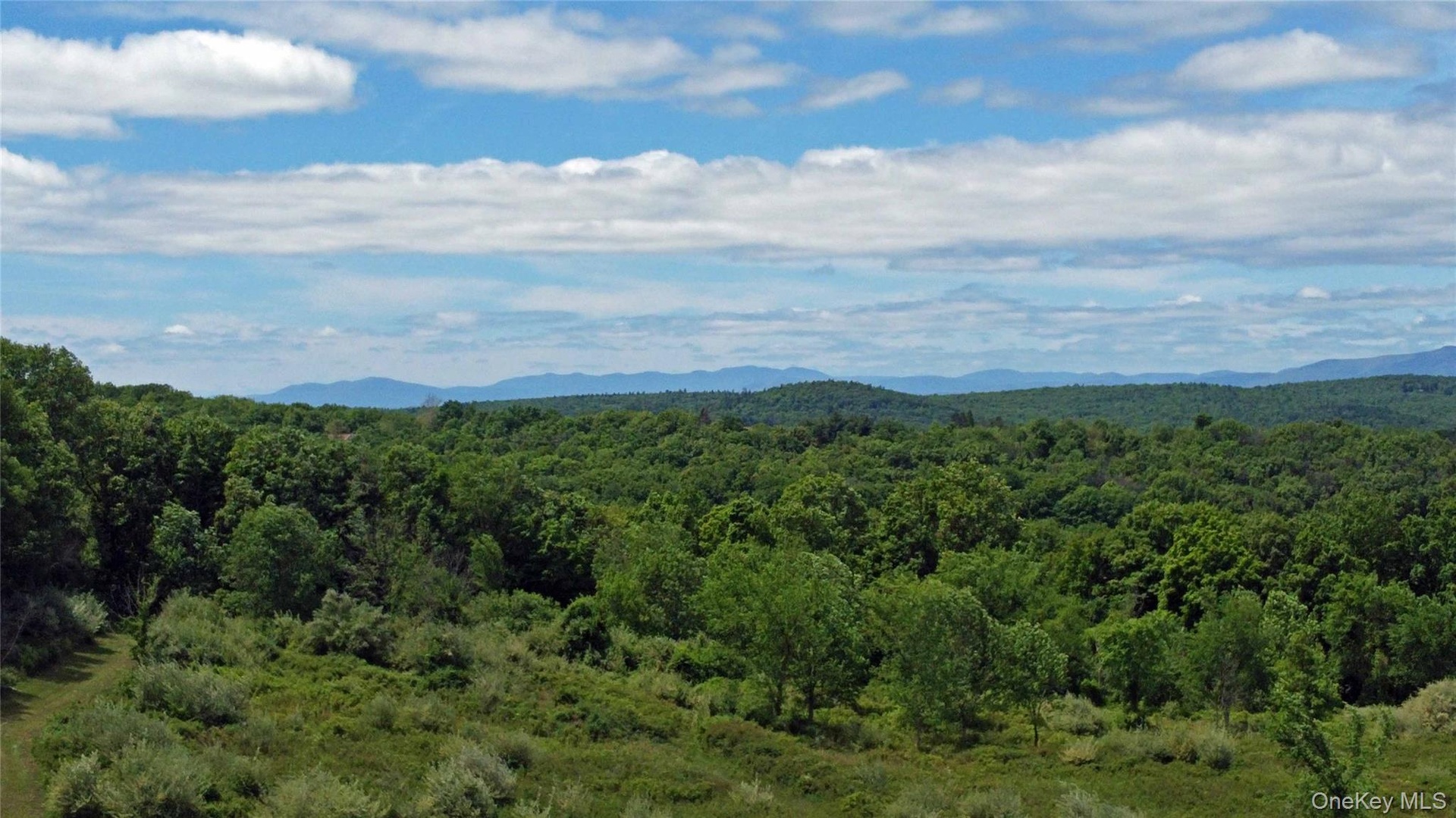 View of mountain backdrop with a heavily wooded area