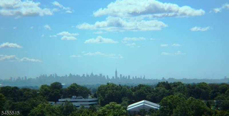View From Gazebo Area