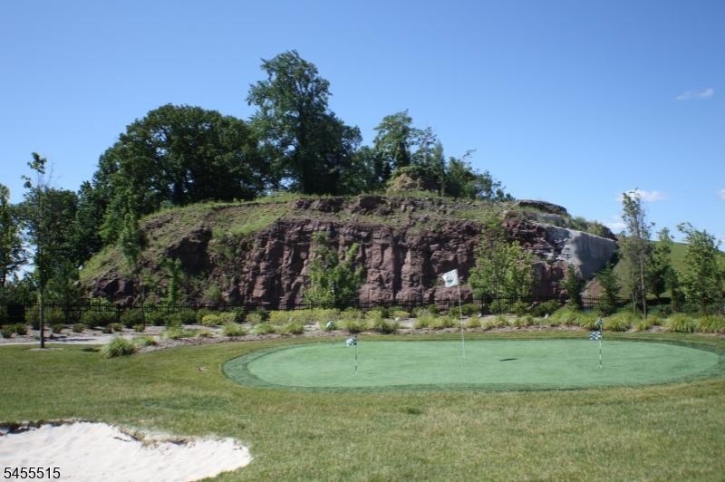 Putting & Driving