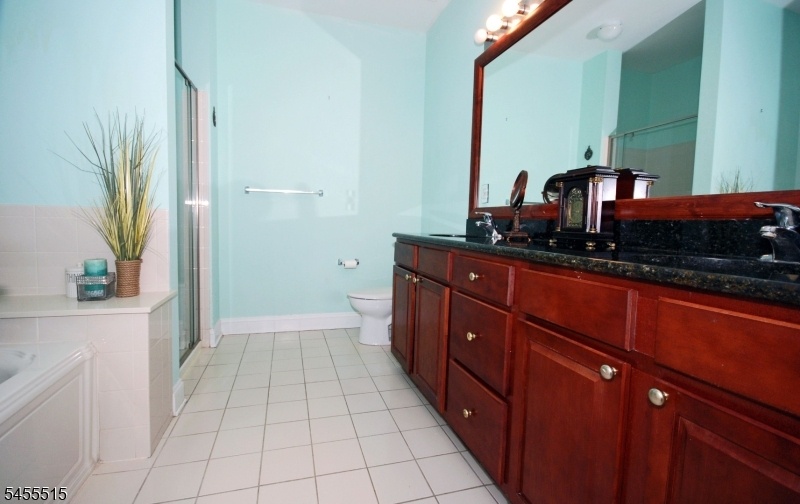 Luxurious Bathroom