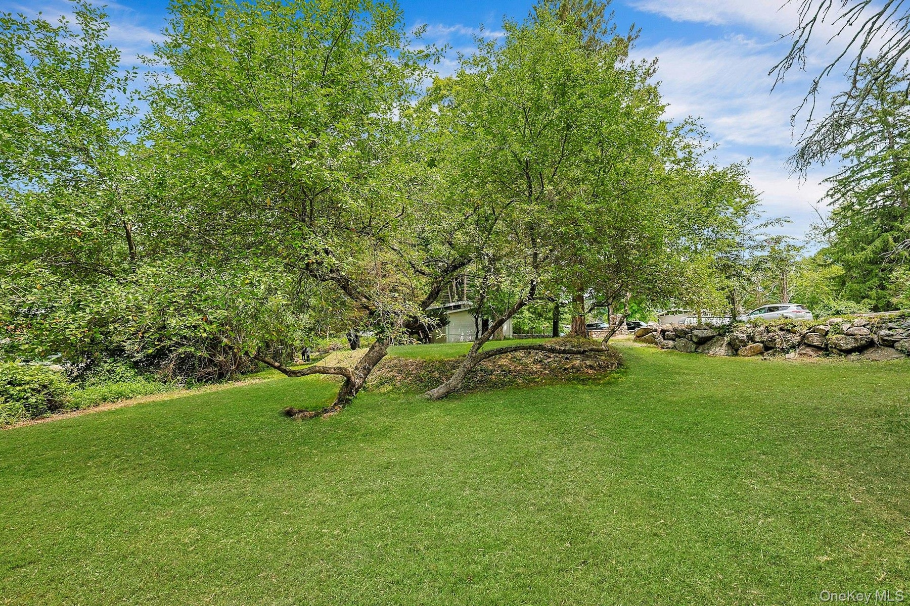 Wonderful yard with mature trees for privacy