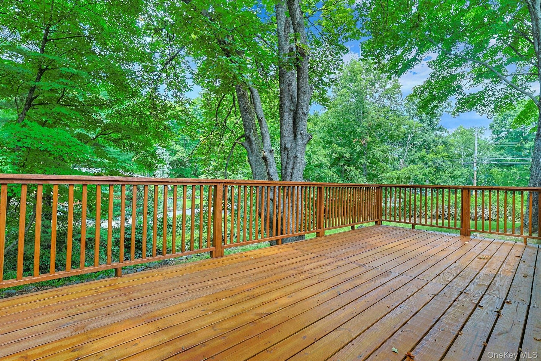Another view of the deck show casing the mature trees on the property.