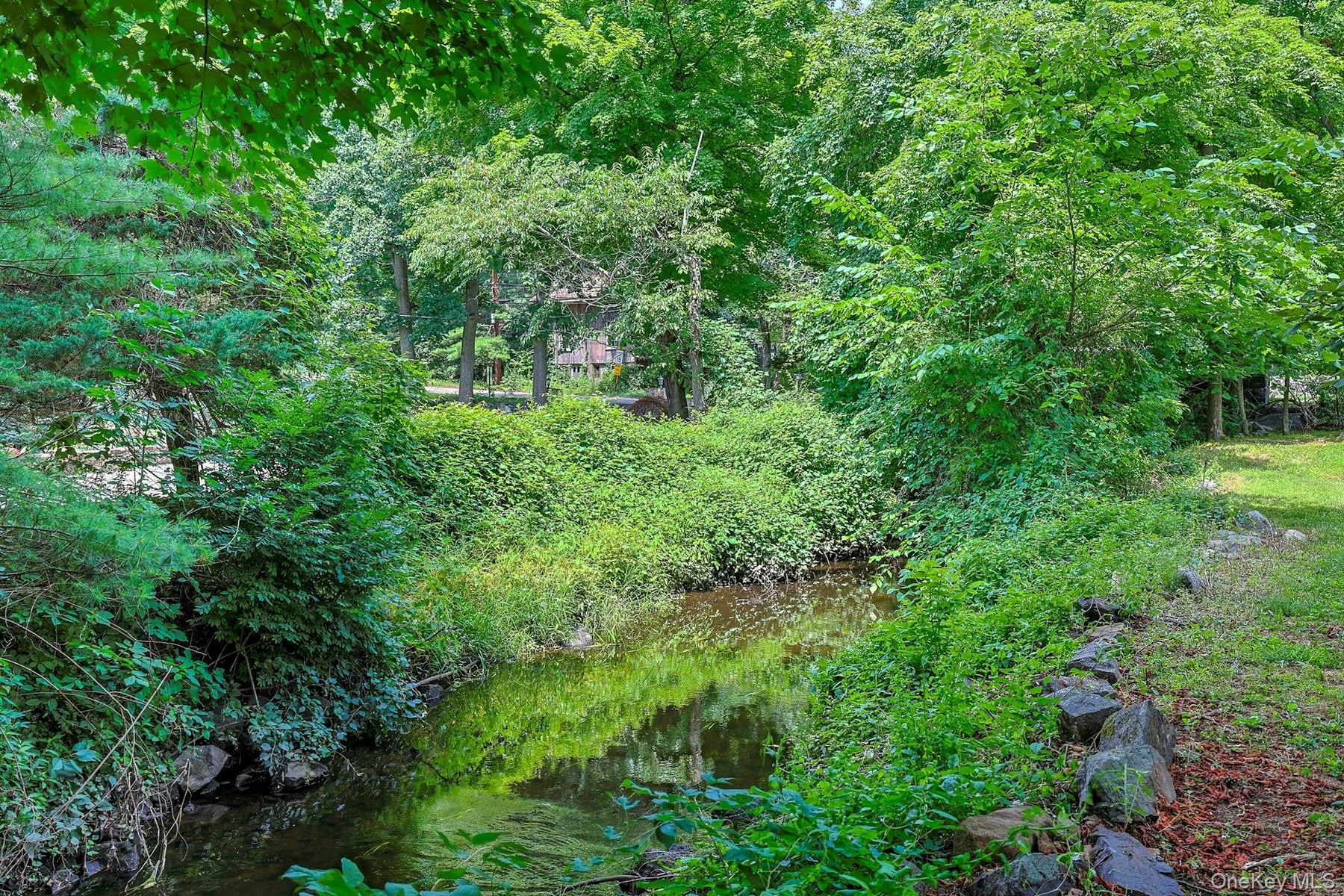 View of backyard