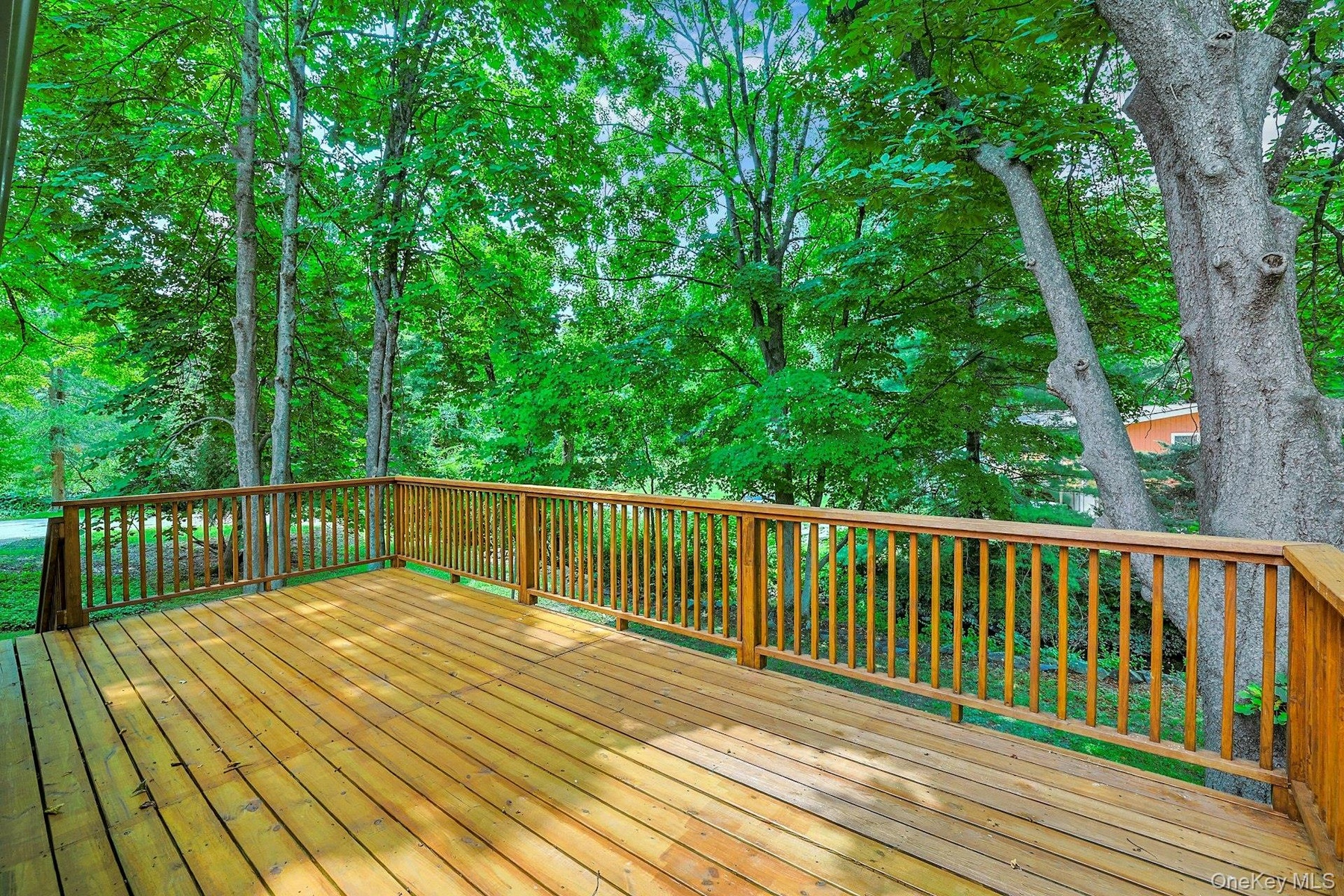 Beautiful wood deck