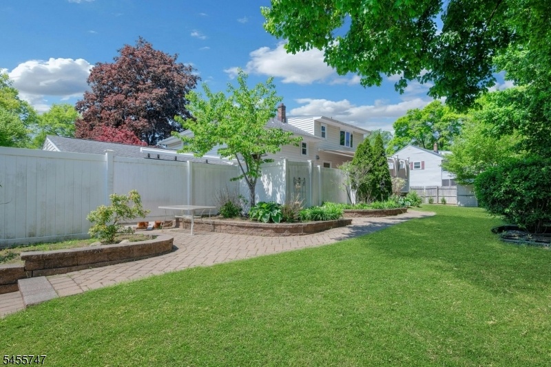 Back yard