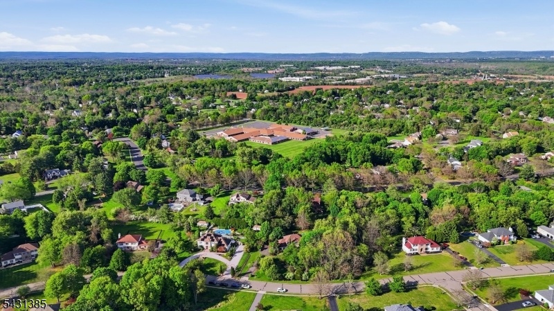 Drone View