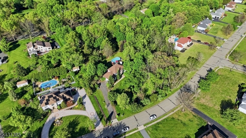 Drone View
