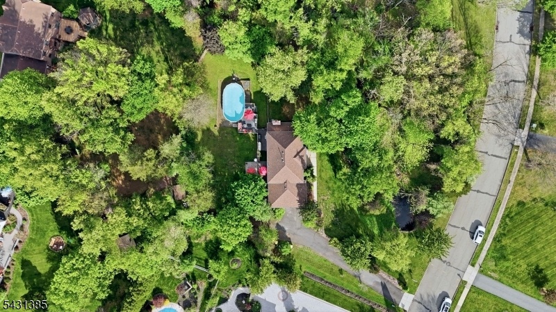 Drone View