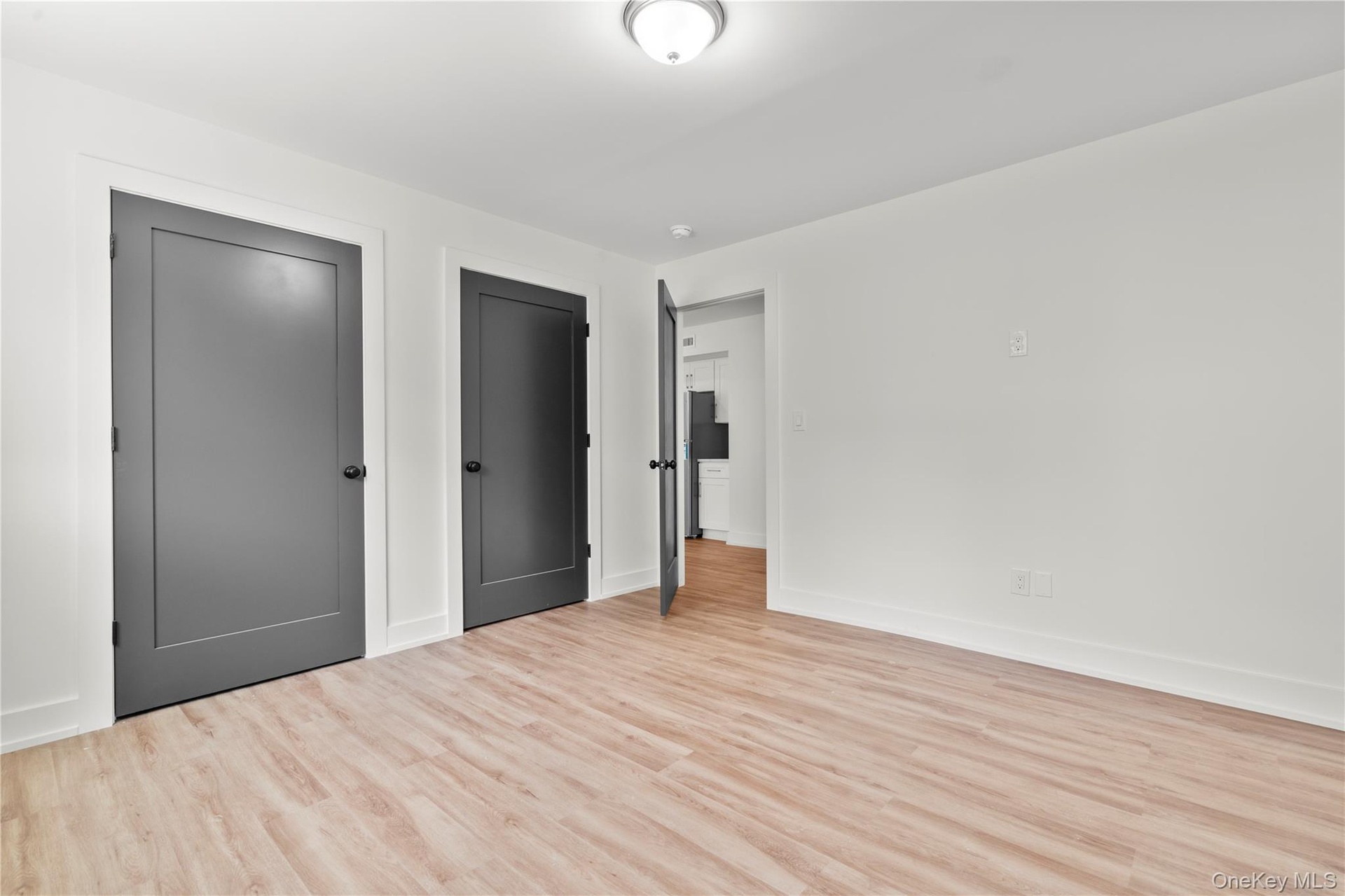 Basement bedroom with closets