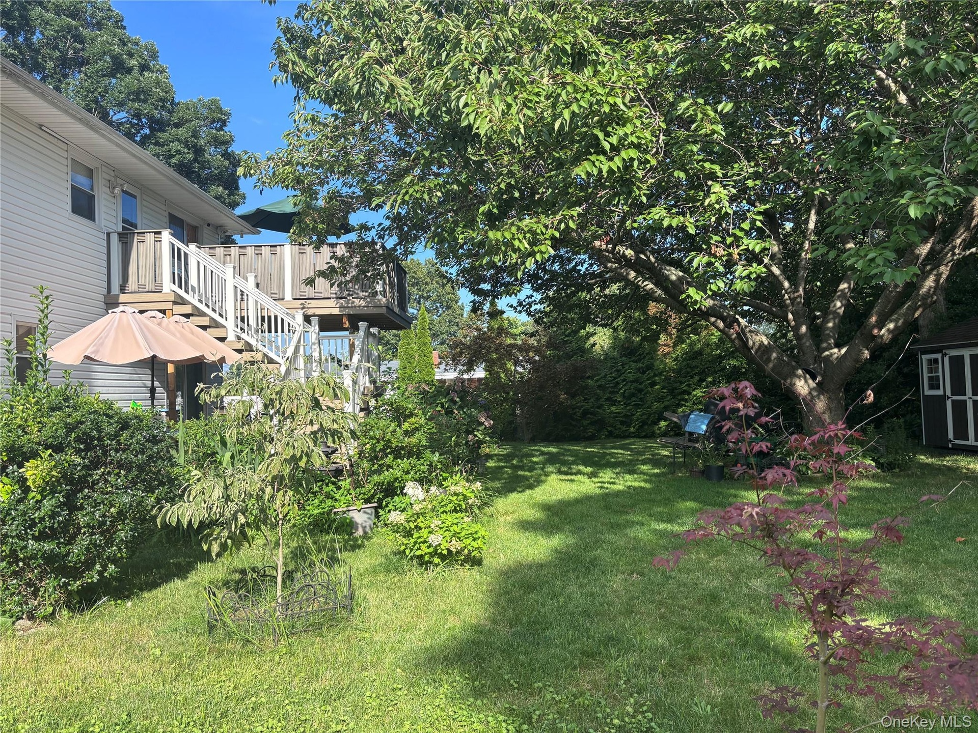 Expansive backyard featuring a large tree, a detached shed, and a two-story deck with white railings