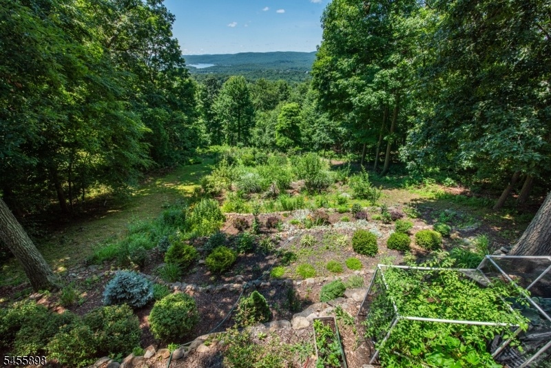 View of Back Yard
