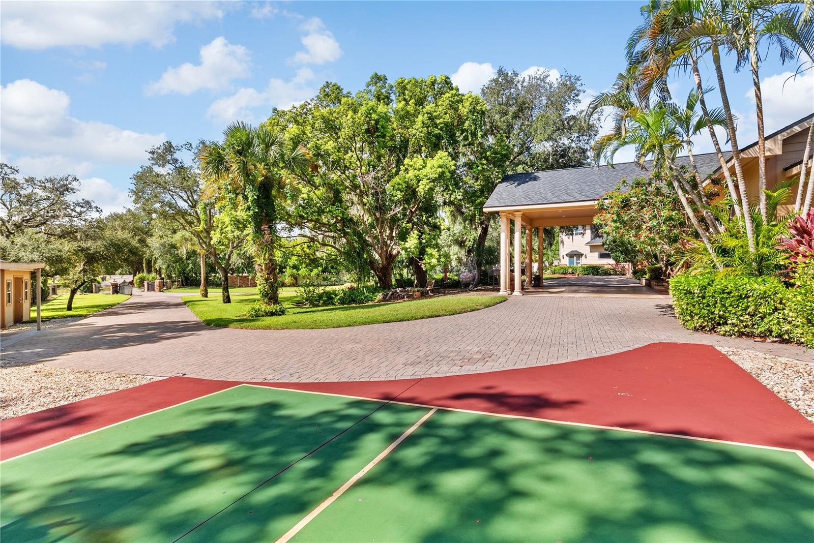 Pickleball Court