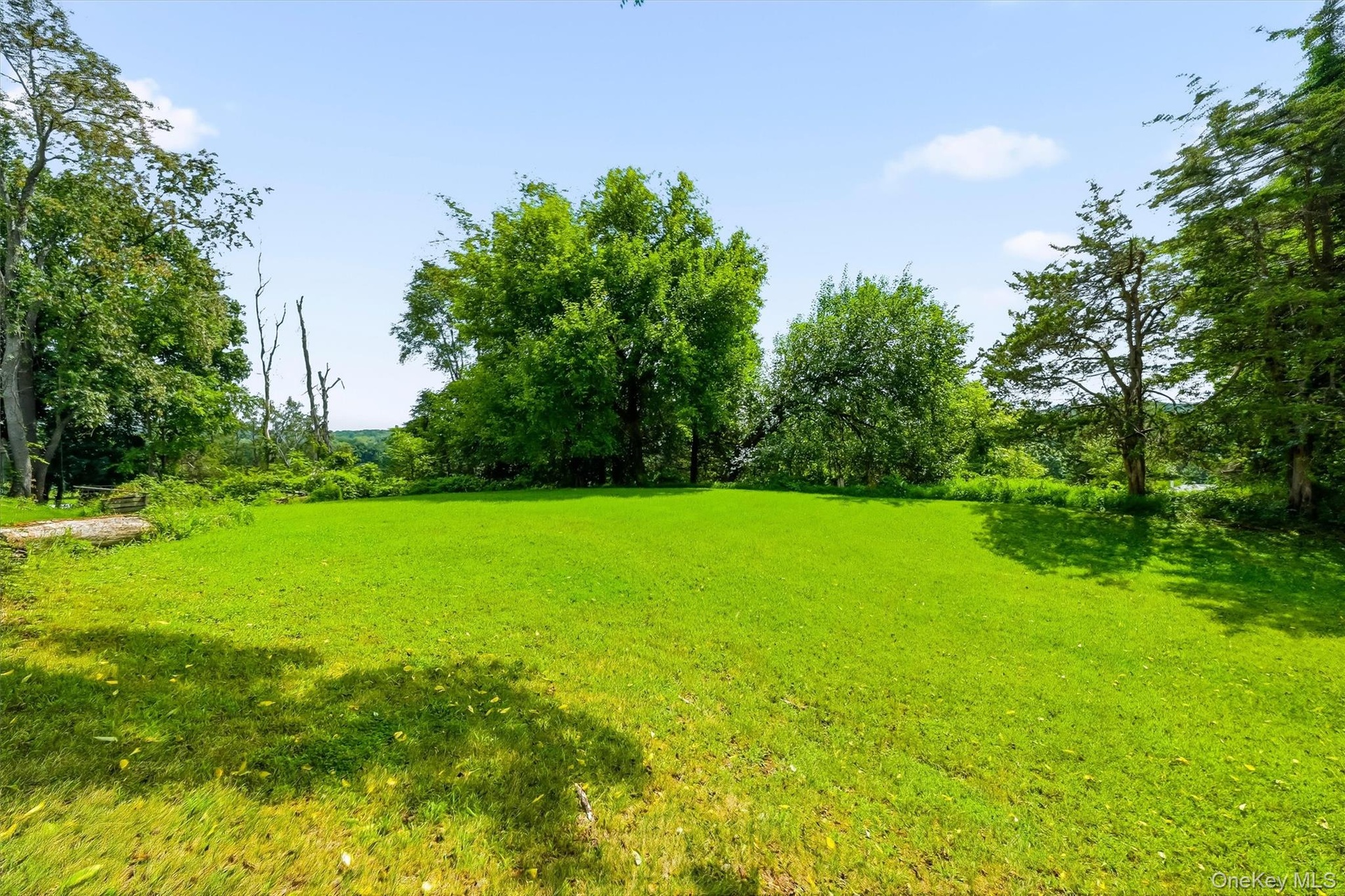Expansive green lawn with mature trees and natural surroundings.
