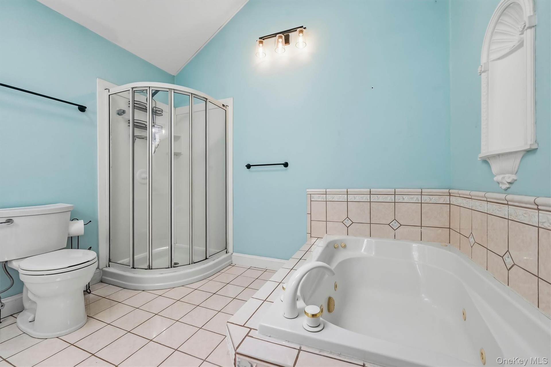 Primary bathroom with a jetted soaking tub, separate shower and vaulted ceiling.