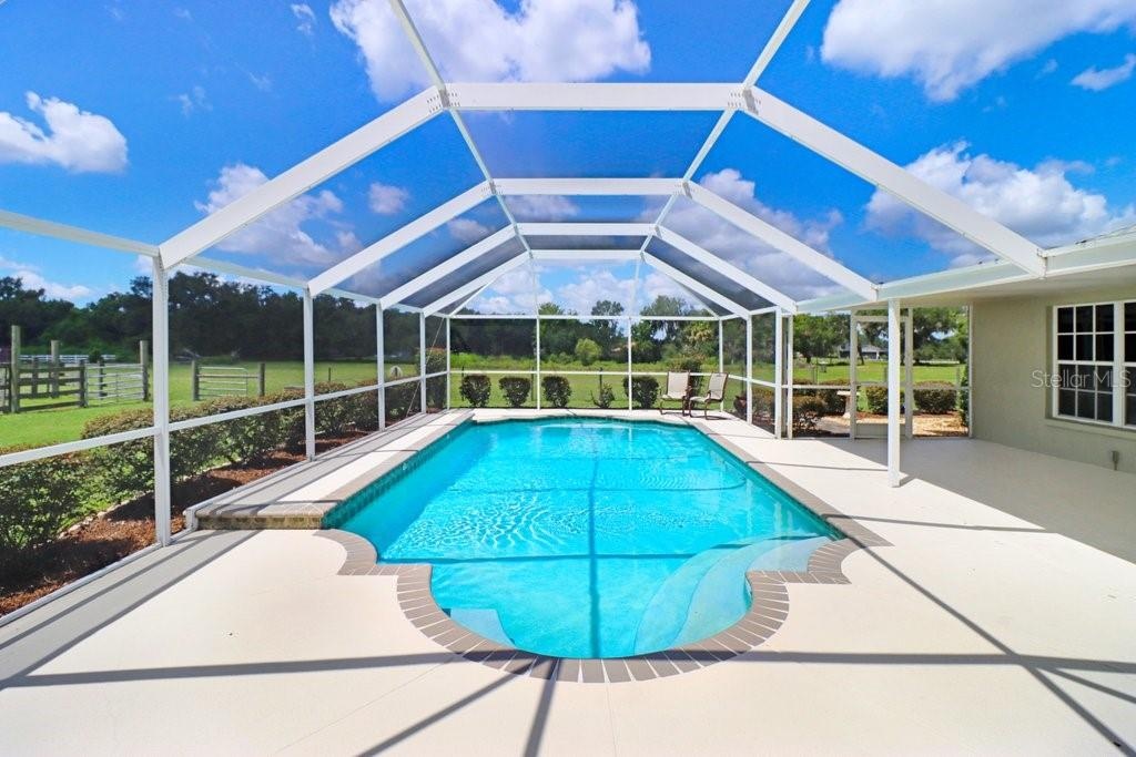 Pool with a view