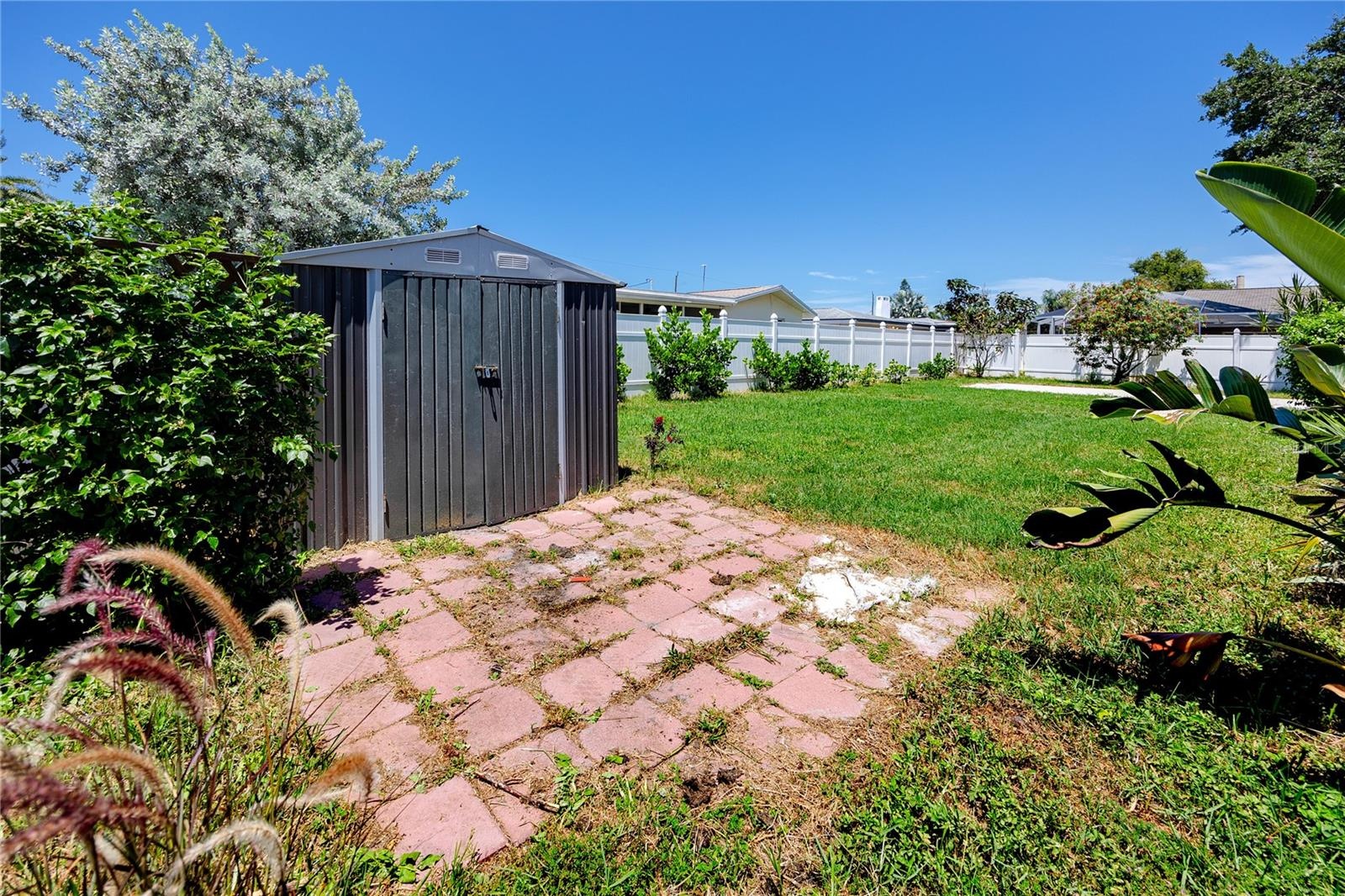 Shed