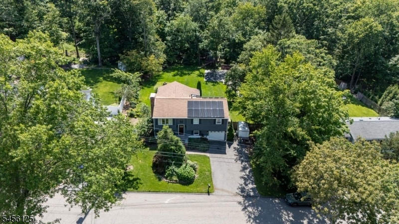 Aerial Shot