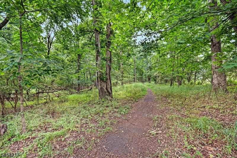 Walking Trail