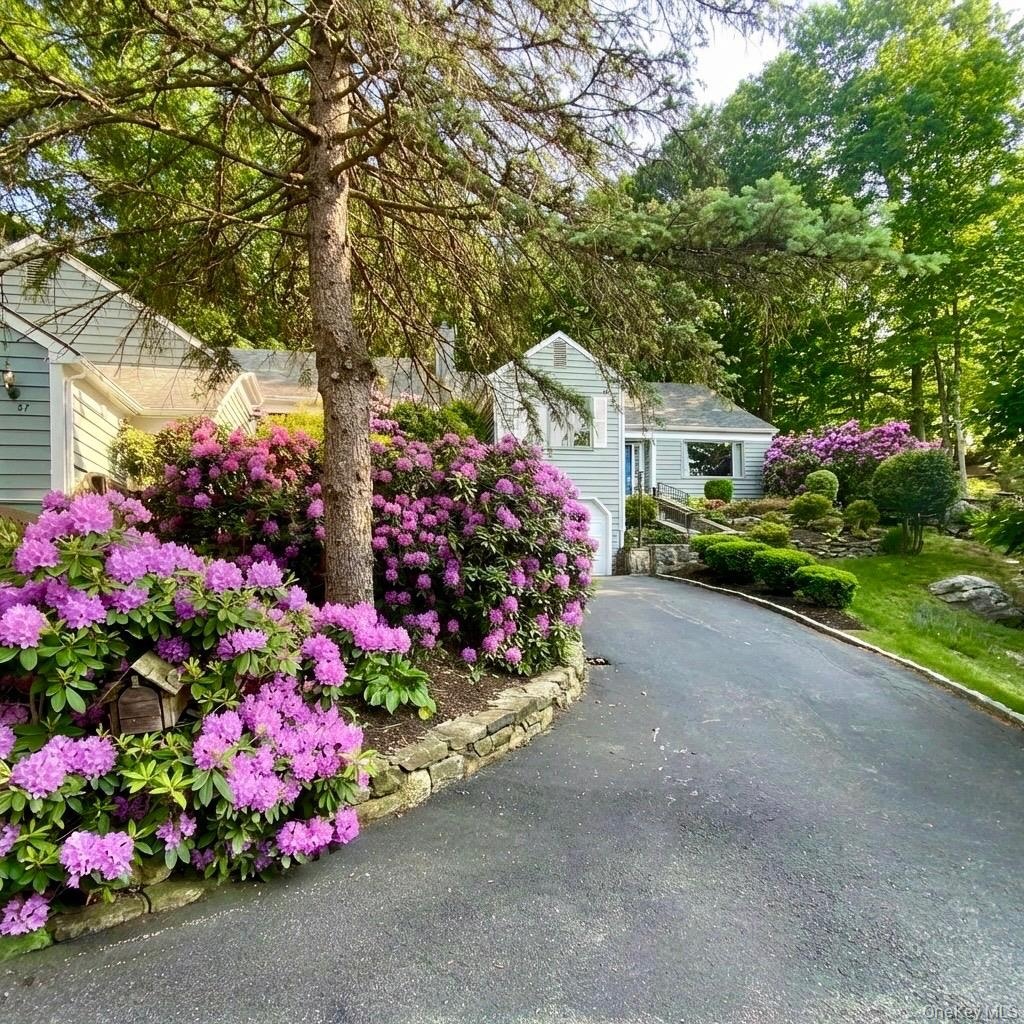 Spring view