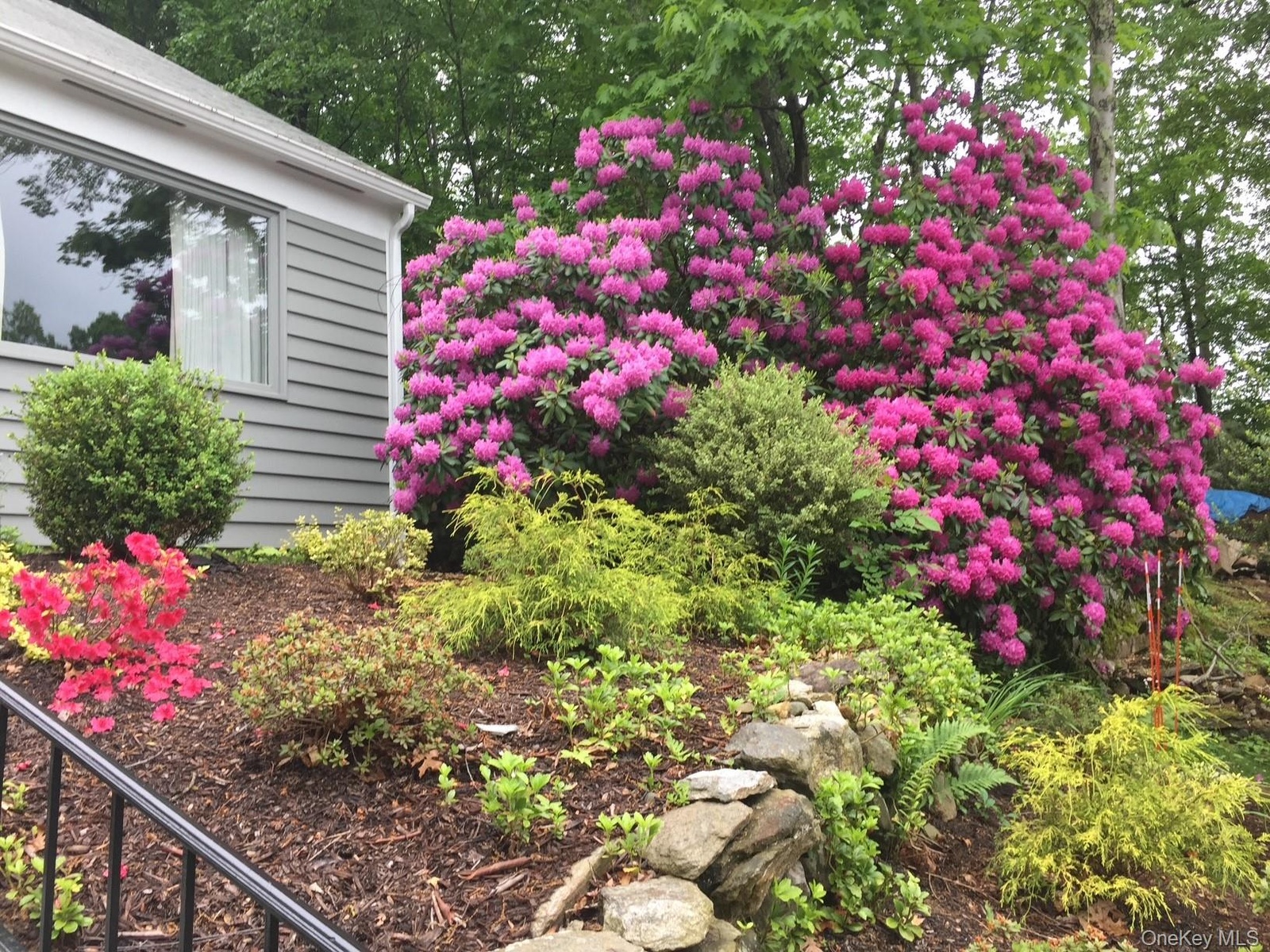 Front garden