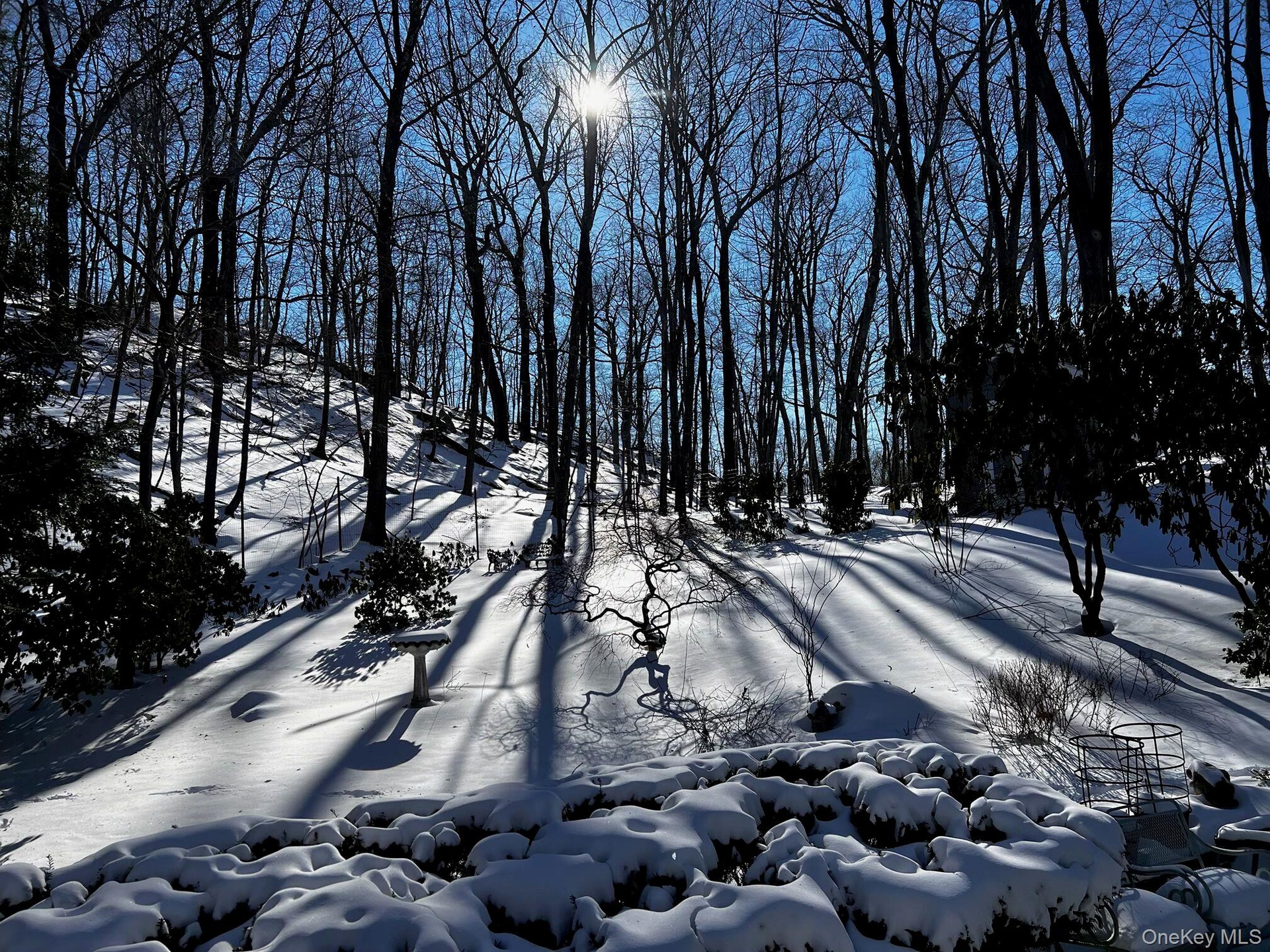 Moonlit view of backyard in winter
