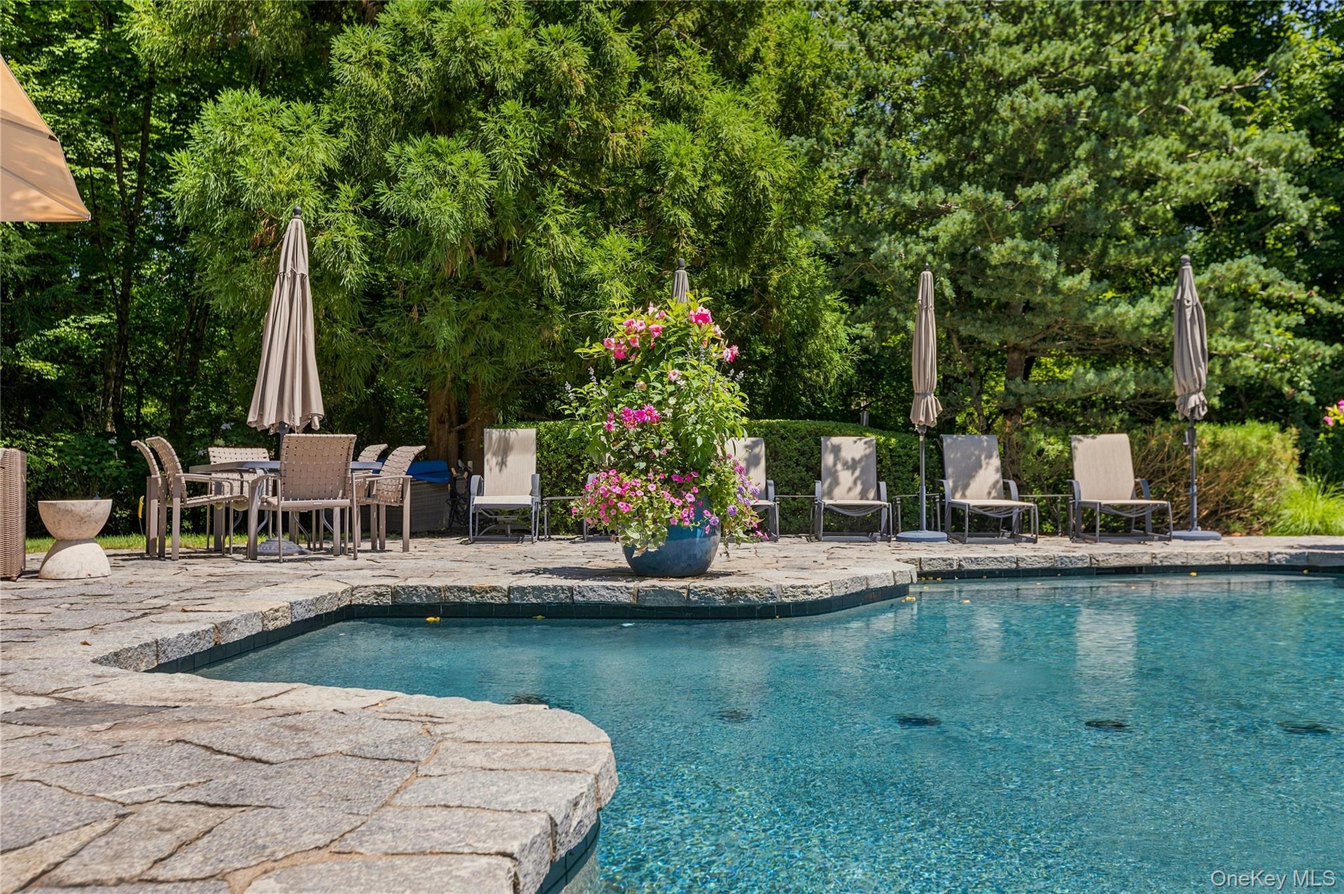 Free form pool with impressive patio surround with furniture included