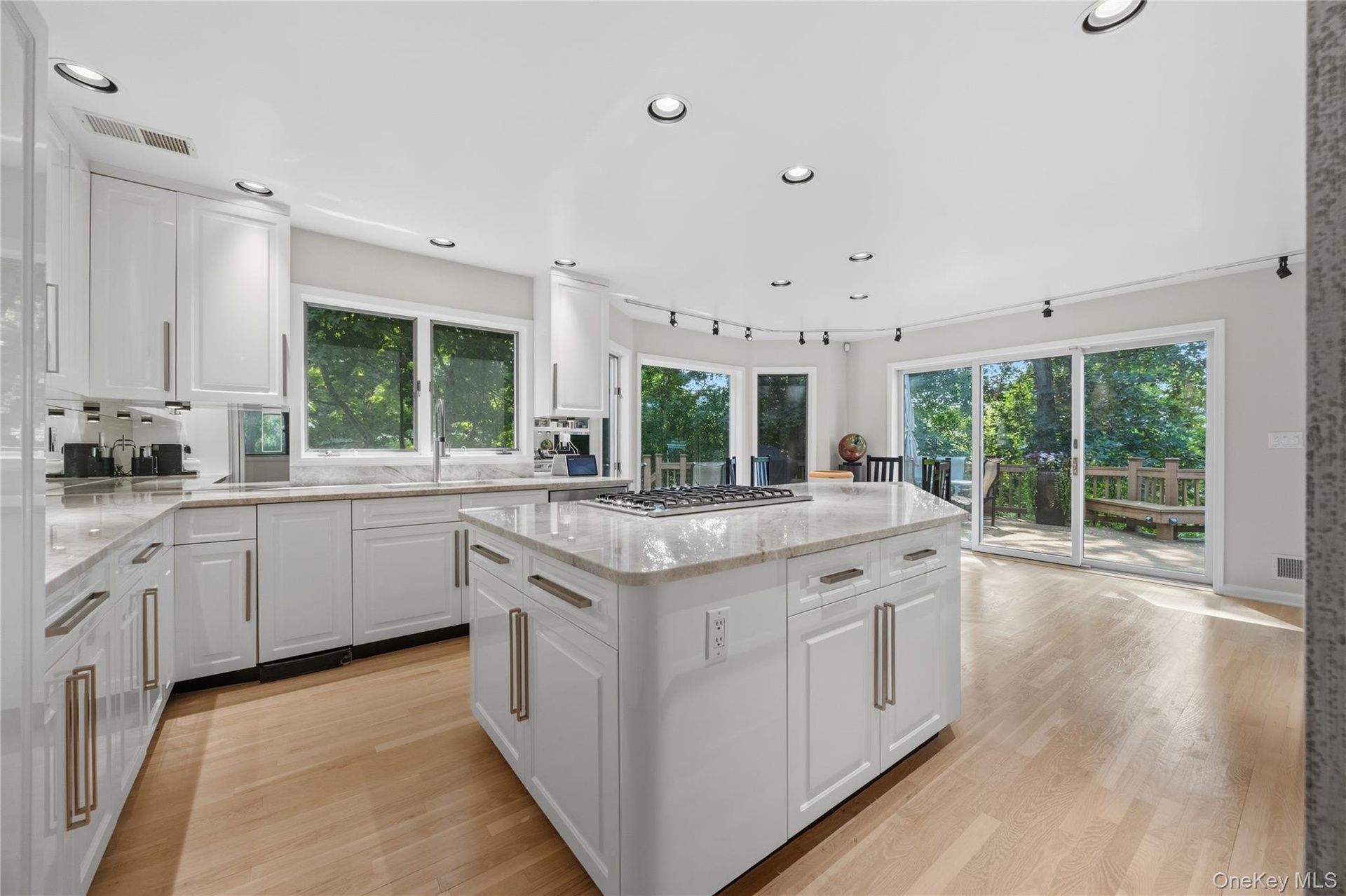 Eat-In-Kitchen with recessed lights, hardwood flooring, glass cabinets, quartzite counters, track lighting, sliding glass door to deck, B/I step stool