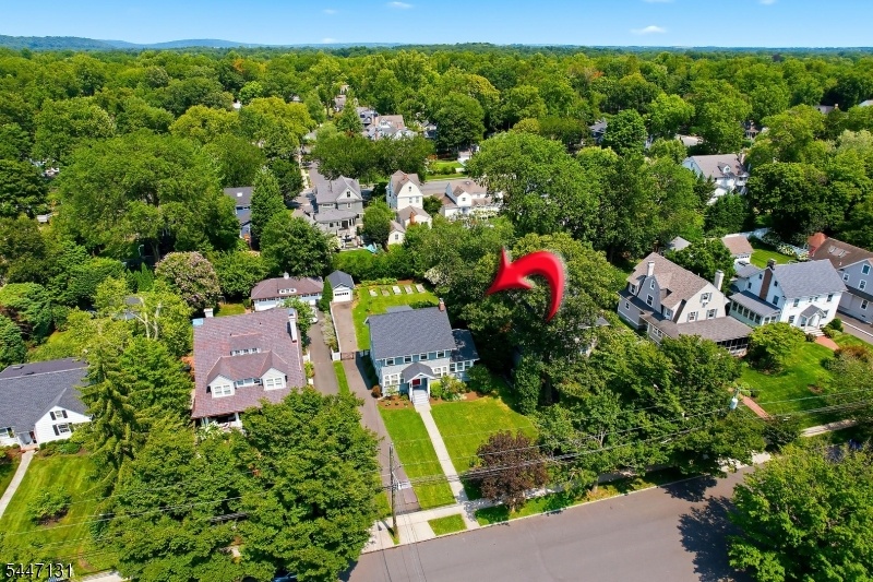 Front Left Aerial
