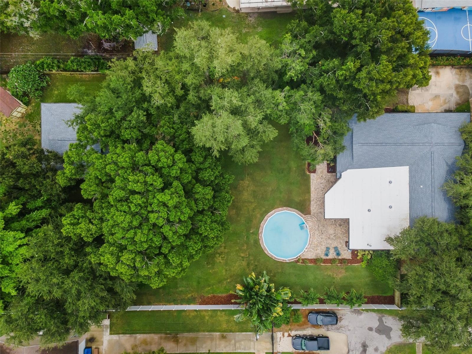 Aerial views of backyard and pool