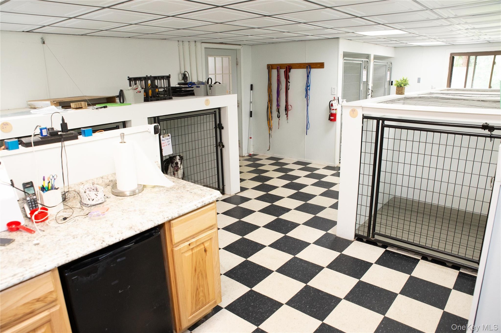 Dog kennels