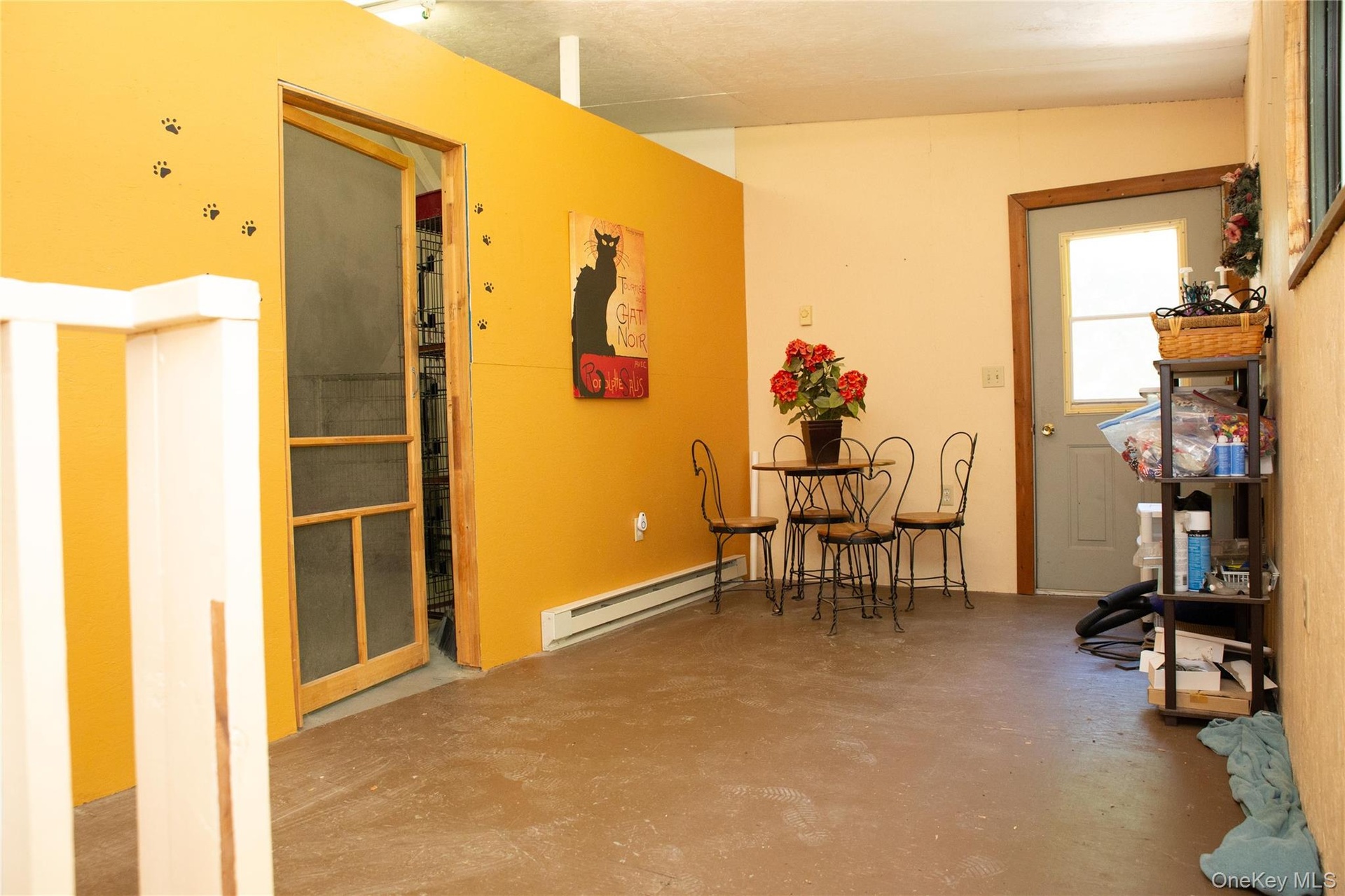 Cat room & lounge area