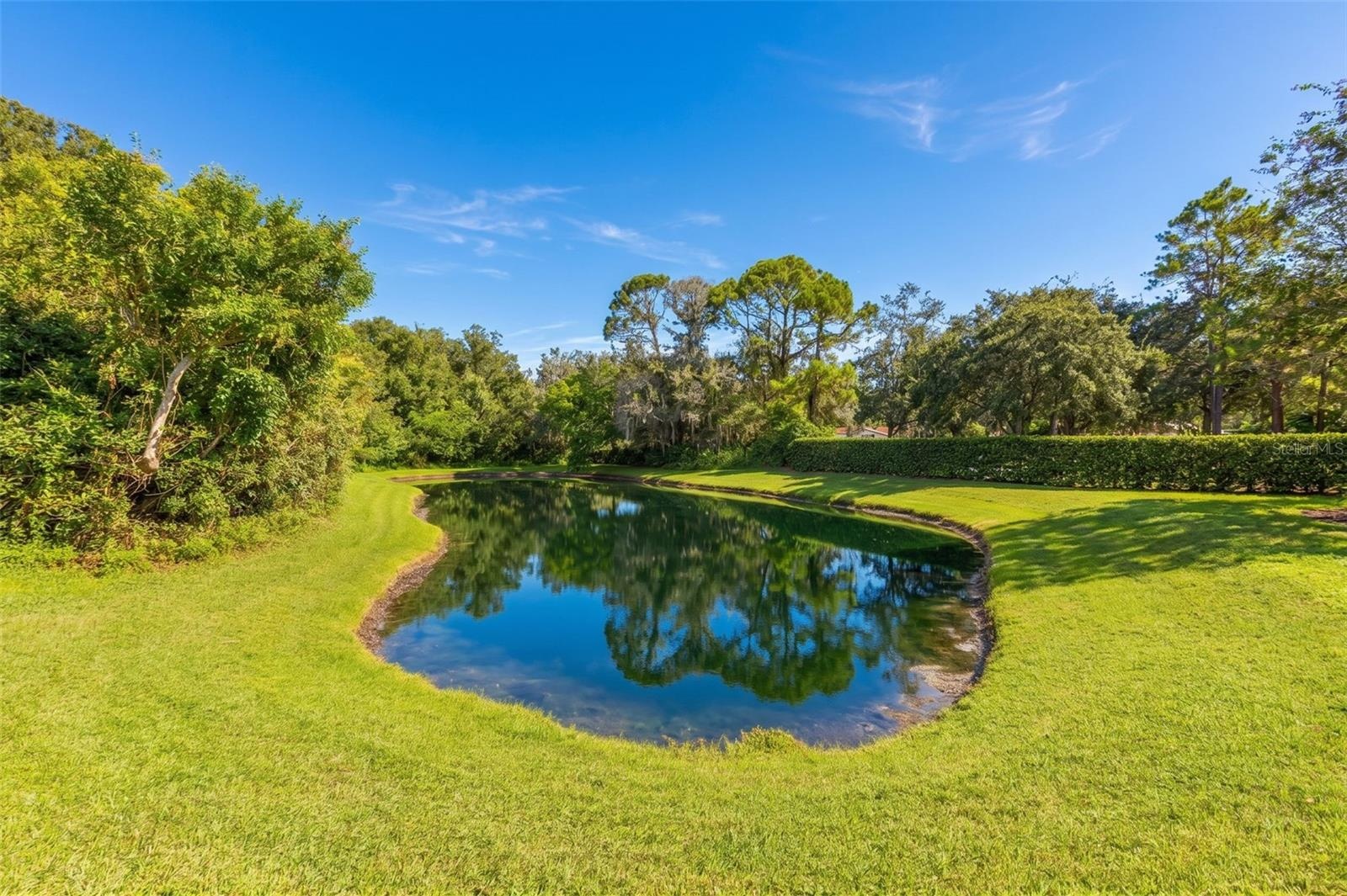 View of Pond