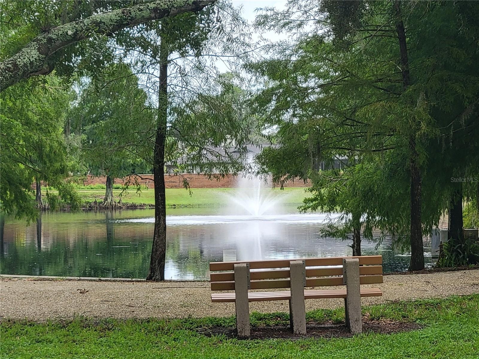 Pond/Walking Trail