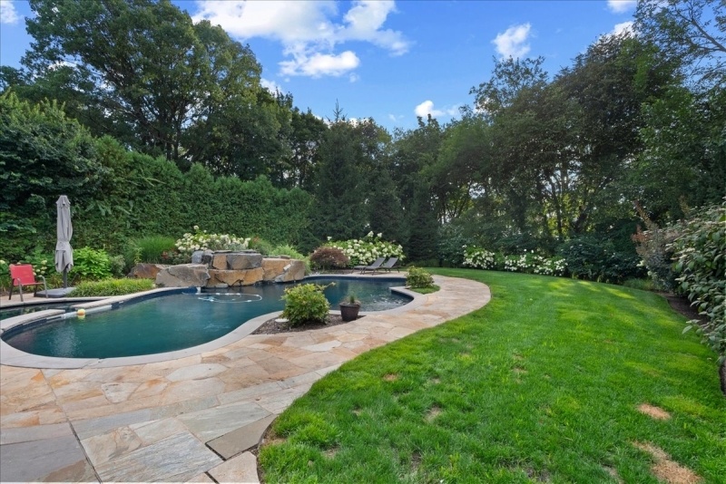Back yard
