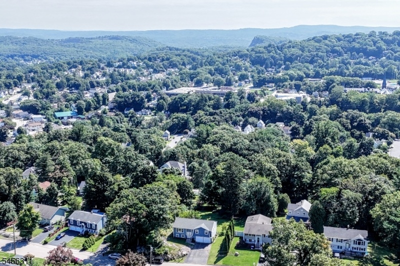 Birds Eye View