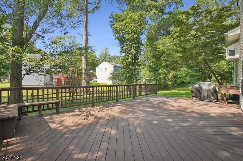 Deck & Backyard