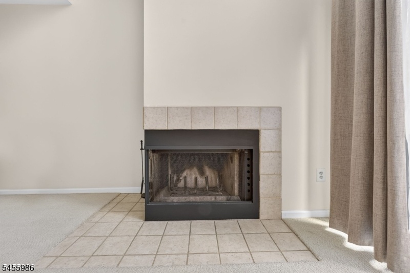 Fireplace/Patio Door