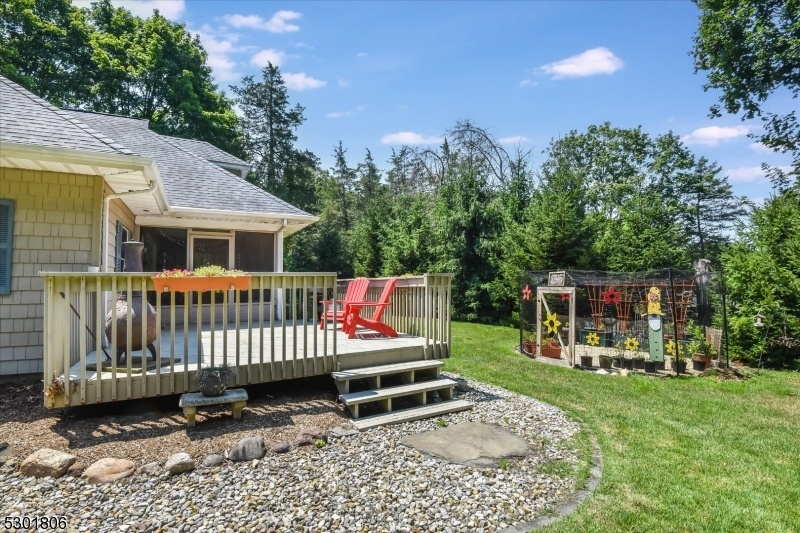 Large Yard